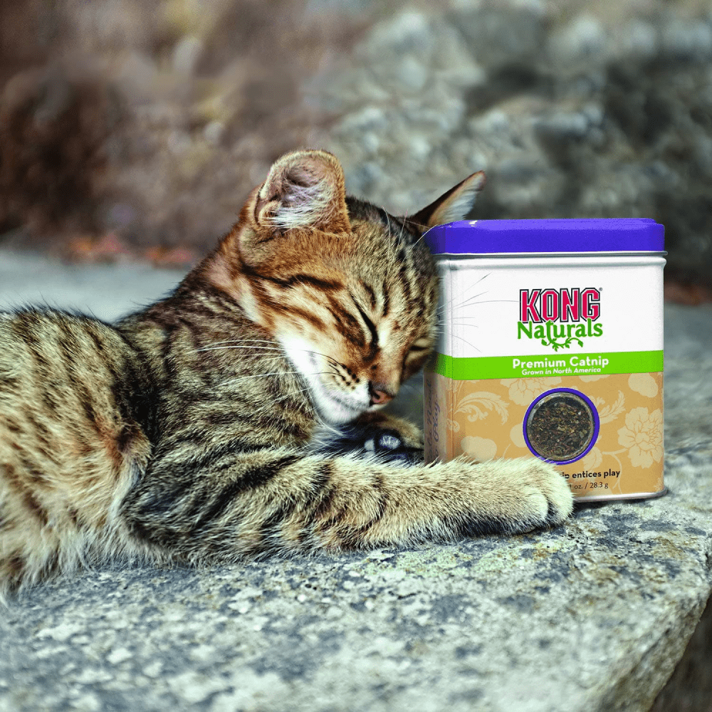Kong Naturals Catnip for Cats