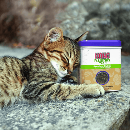 Kong Naturals Catnip for Cats
