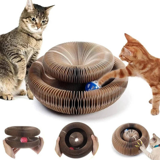 Cat Scratcher with Ball Track